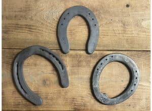 Horseshoes