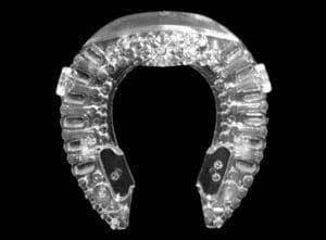 NBS Polysteel Plastic Shoes (with No Bridge)